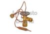 WEBASTO 82D0585652MA Expansion Valve, air conditioning